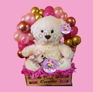 BOX Teddy